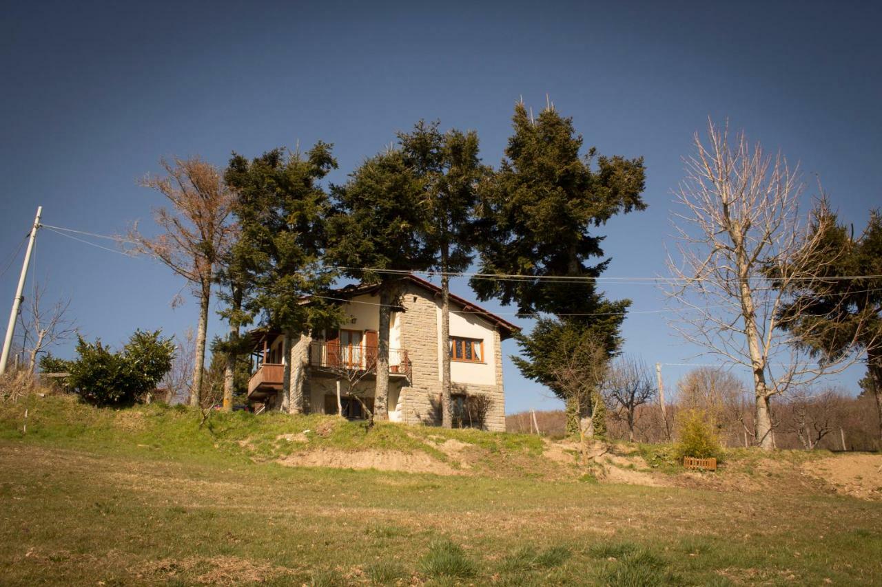 B&B Vista Casentino Пратовекио Екстериор снимка