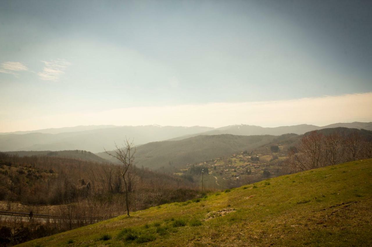 B&B Vista Casentino Пратовекио Екстериор снимка