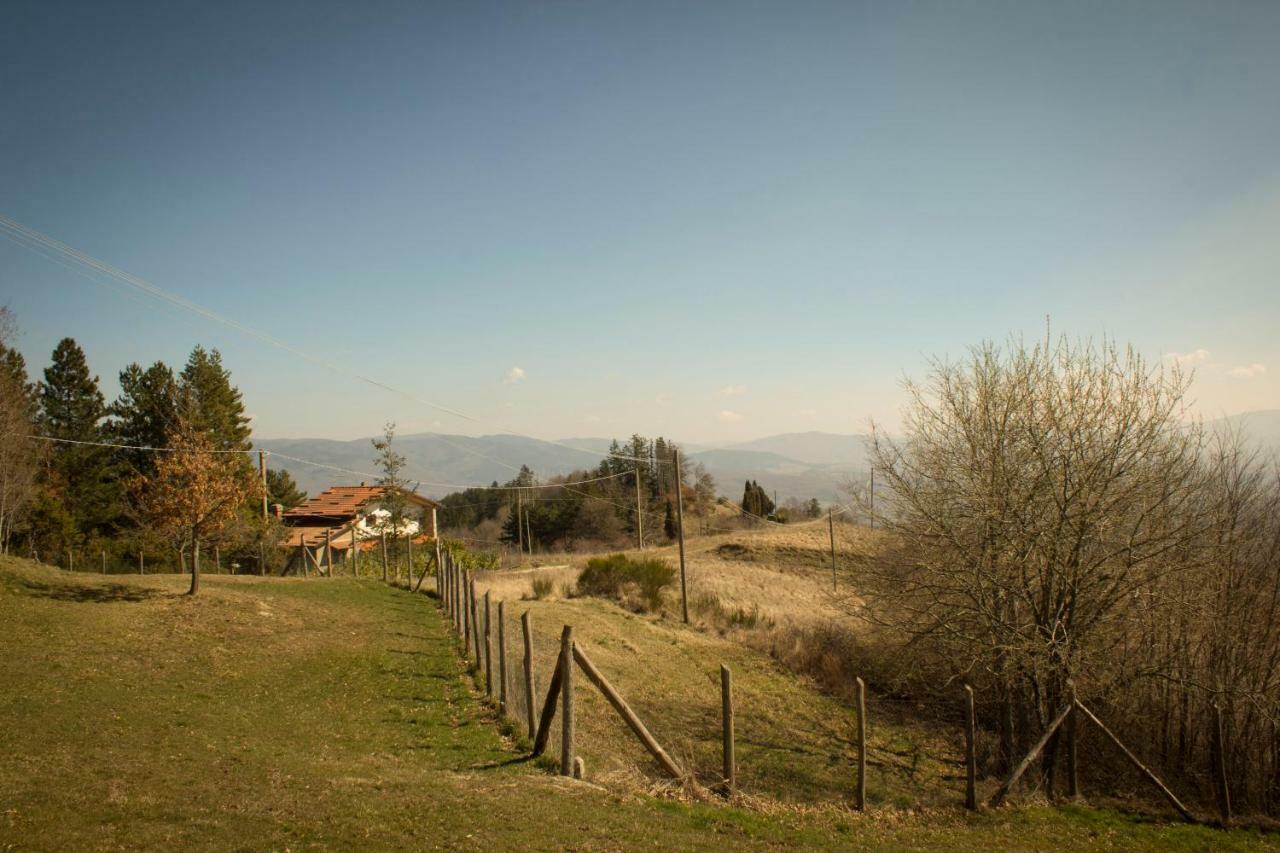 B&B Vista Casentino Пратовекио Екстериор снимка