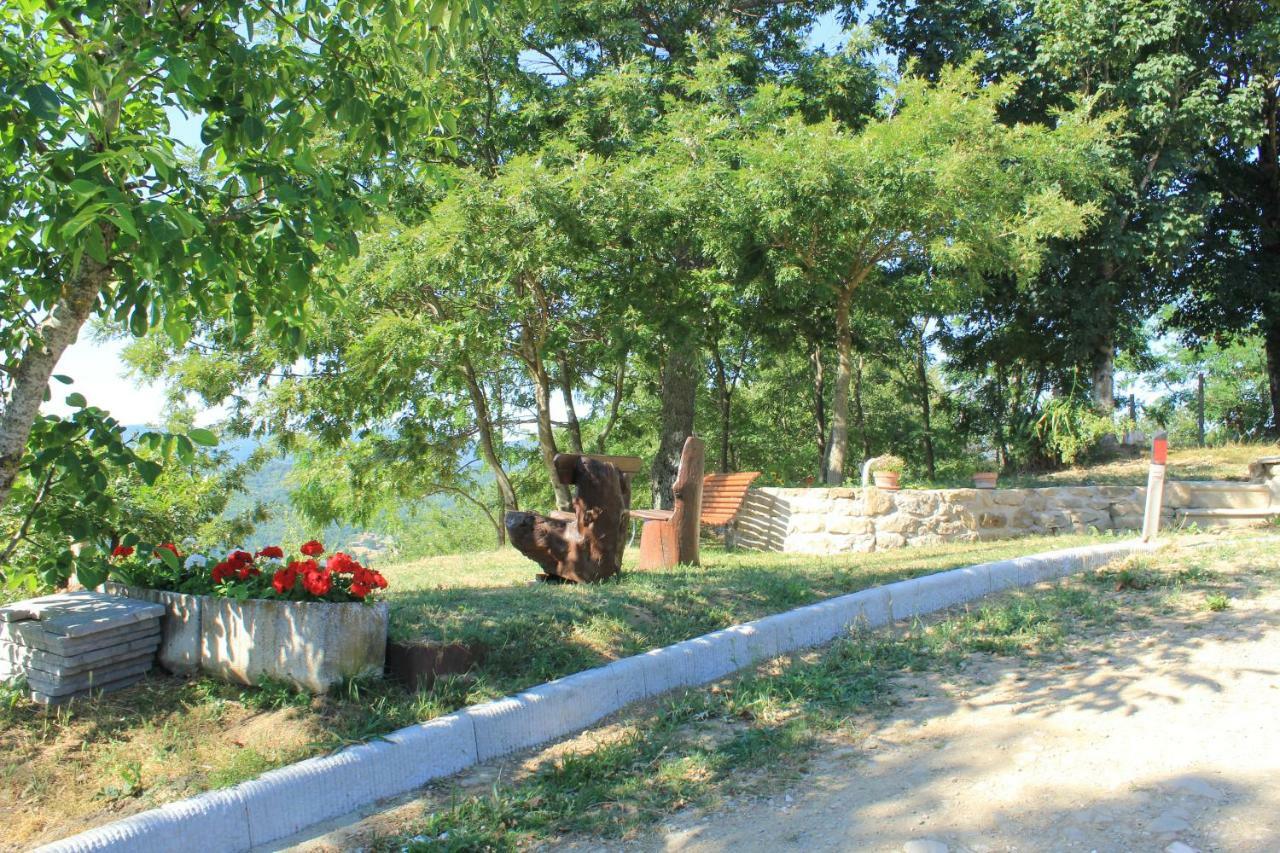 B&B Vista Casentino Пратовекио Екстериор снимка